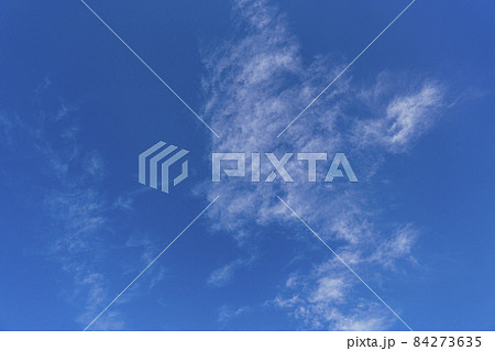 青空　秋空　シーサイドコスモ(コスモスクエア海浜緑地) 84273635