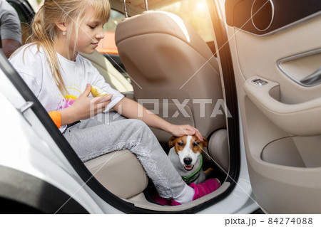 Cute adorable little caucasian blond girl petting small jack russel terrier dog sitting inside suv car ready to go family adventure auto road trip. Travelling with pet by vehicle concept 84274088