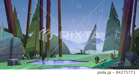 Forest at raining day scenery landscape 84275771