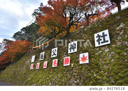 養父神社の紅葉 電車から見える大きな看板 養父神社の紅葉 電車から見える大きな看板 84276518