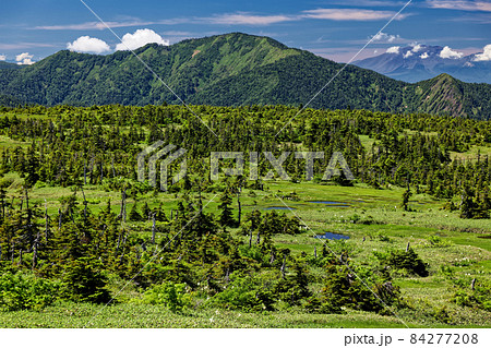 苗場山山頂の湿原と佐武流山・浅間山の眺め 苗場山山頂の湿原と佐武流山・浅間山の眺め 84277208