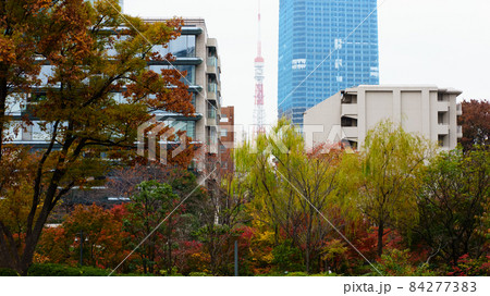 東京タワーと高層ビルと紅葉した木々の風景 84277383