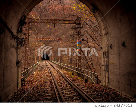 晩秋の廃線跡 信越線の碓氷峠 横川軽井沢間 11月 晩秋の廃線跡 信越線の碓氷峠 横川軽井沢間 11月 84277612
