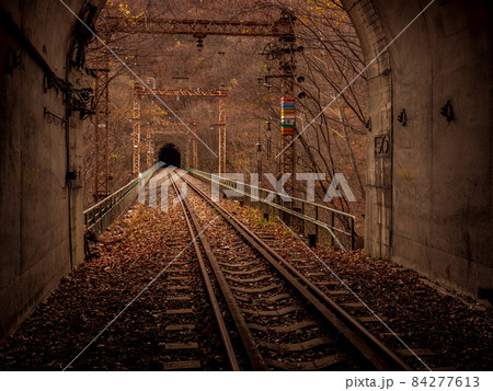 晩秋の廃線跡　信越線の碓氷峠　横川軽井沢間　11月 84277613
