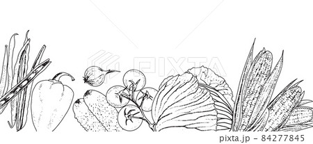 Vegetable background frame Vegetable background frame 84277845