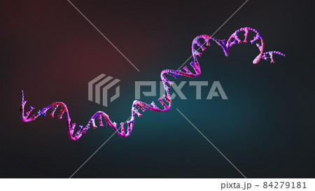 Ribonucleic acid strands consisting of nucleotides - 3d illustration 84279181