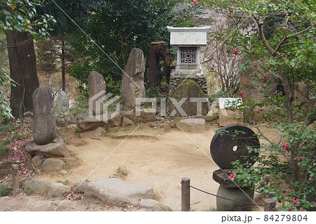 少林山達磨寺 少林山達磨寺 84279804