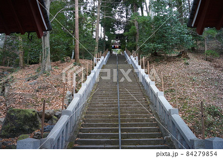 少林山達磨寺 84279854