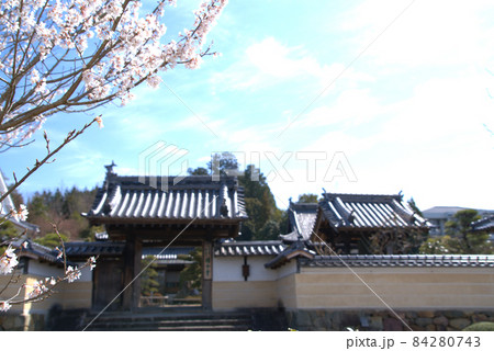 美作国分寺の山門と築地塀とサクラ 岡山県津山市 美作国分寺の山門と築地塀とサクラ 岡山県津山市 84280743