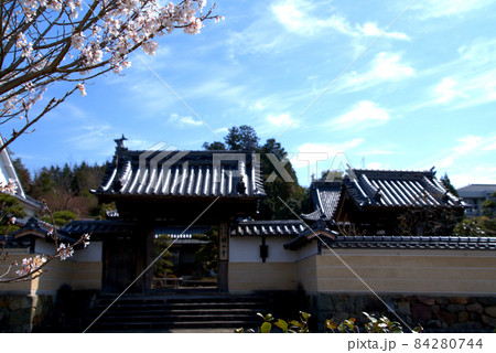 美作国分寺の山門と築地塀とサクラの花 岡山県津山市 美作国分寺の山門と築地塀とサクラの花 岡山県津山市 84280744