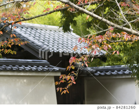兵庫県 姫路 【好古園】紅葉 / Koko-en, Himeji, Hyogo, Japan 84281260