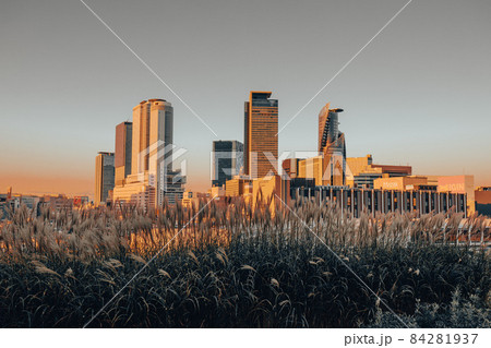 名古屋市　グローバルゲートから眺めた名古屋駅ビル群の景色 84281937