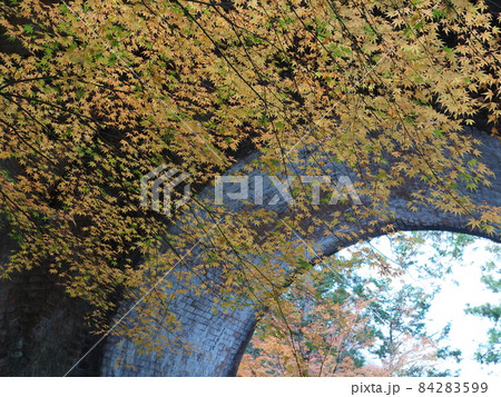 南禅寺 水路閣の紅葉 南禅寺 水路閣の紅葉 84283599