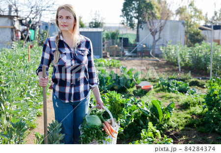 Positive girl with a crop of vegetables on a garden bed Positive girl with a crop of vegetables on a garden bed 84284374