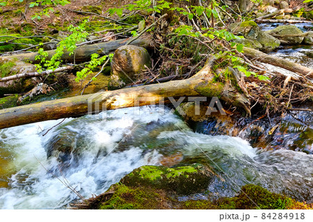 Selective focus. A small mountain stream flows in the forest. 84284918