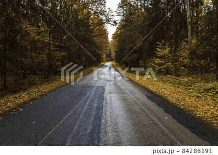 empty asphalt road and beautiful colorful forest in autumn 84286191