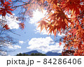 晴れ渡る空と紅葉と光の旋律 84286406