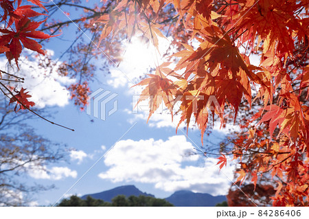 晴れ渡る空と紅葉と光の旋律 晴れ渡る空と紅葉と光の旋律 84286406