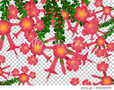 カントゥータの花の背景 84286499