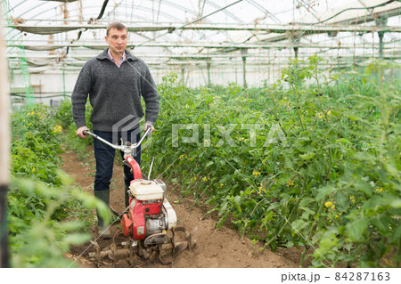 Gardener using motorized cultivator in greenhouse Gardener using motorized cultivator in greenhouse 84287163