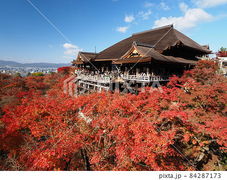 清水寺の紅葉 奥の院から 清水寺の紅葉 奥の院から 84287173