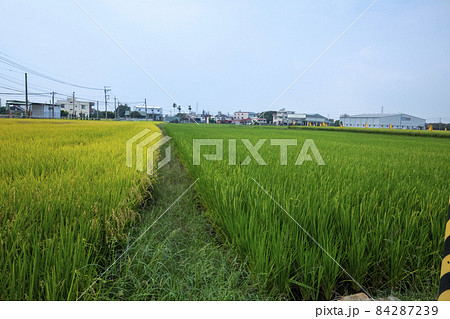 台湾 台中市 台中 84287239