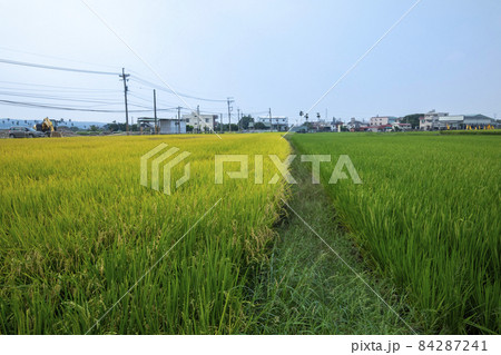 台湾 台中市 台中 84287241