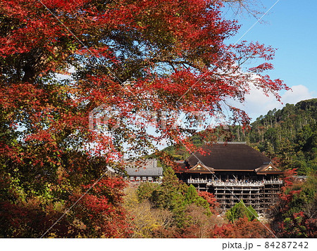 清水寺の紅葉　子安の塔から 84287242