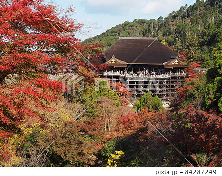 清水寺の紅葉 子安の塔から 清水寺の紅葉 子安の塔から 84287249