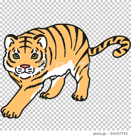 Illustration of a simple tiger walking with a... - Stock Illustration  [84287742] - PIXTA