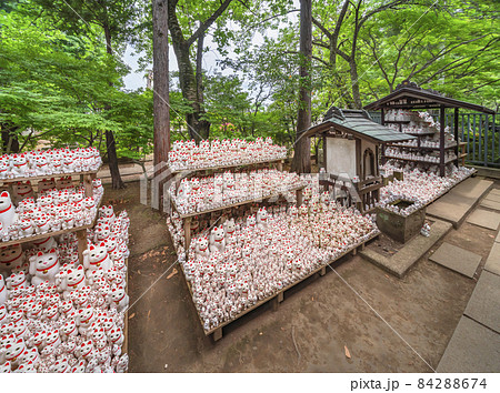 [東京・世田谷] 招き猫の発祥の地である豪徳寺の棚に並んである大量の奉納物。 84288674