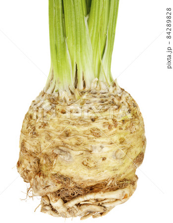 celery root (celeriac) 84289828