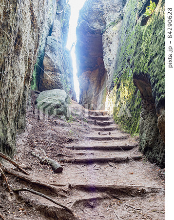 Sandstone cliffs among trees in forest. The Kokorin area, 84290628
