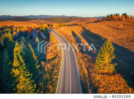 Aerial view of mountain road in forest at sunset in autumn 84291399