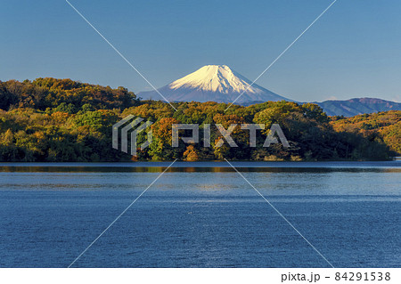 青空と紅葉の狭山湖から見る富士山 青空と紅葉の狭山湖から見る富士山 84291538