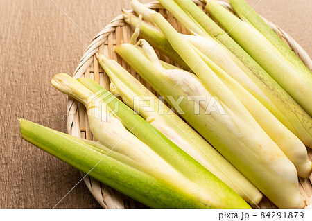 真菰 真菰 84291879