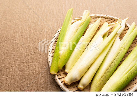 真菰 真菰 84291884