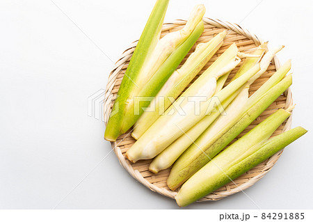 真菰 真菰 84291885