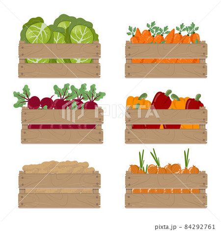 Set of wooden box with vegetables, isolated on white background. Vector illustration 84292761