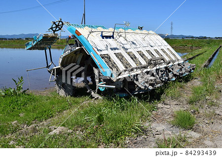 田植え中の水田 田植え中の水田 84293439