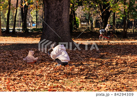 公園の落葉の上で我が子の写真を撮る母親 公園の落葉の上で我が子の写真を撮る母親 84294309