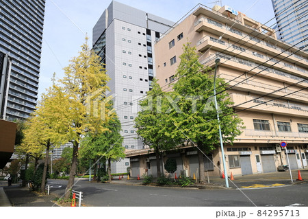 晴海の街並みと紅葉色づき始め 晴海の街並みと紅葉色づき始め 84295713