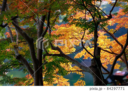 《香川県》栗林公園・秋 84297771