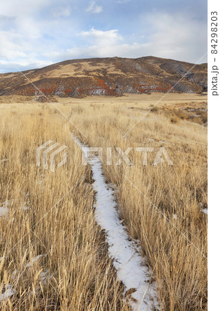 cattle trail in a mountain valley 84298203
