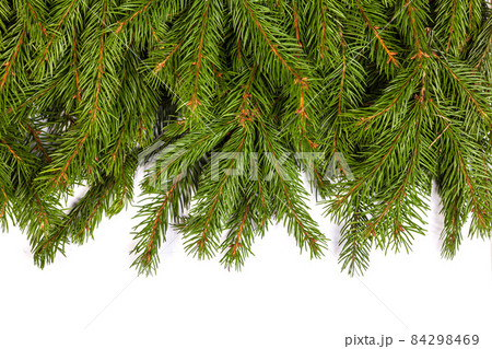 Christmas background. Eve framework 84298469