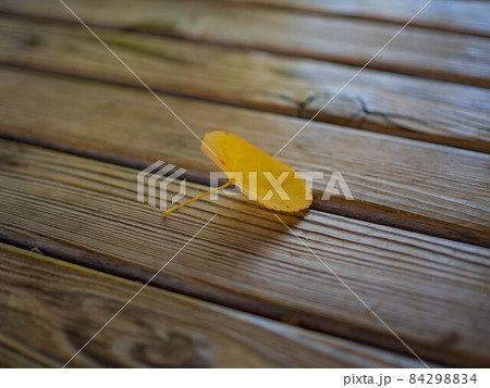 黄色い落ち葉が床に一枚落ちている写真 黄色い落ち葉が床に一枚落ちている写真 84298834