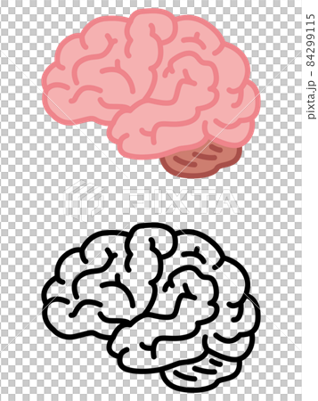 脳のイラストセット 84299115