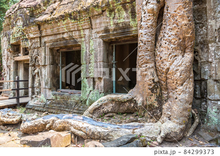 Ta Prohm temple in Angkor Wat 84299373