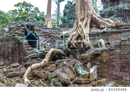 Ta Prohm temple in Angkor Wat 84299486
