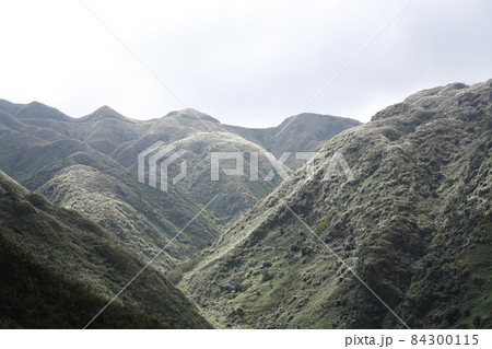 山腹 中腹 金山 84300115